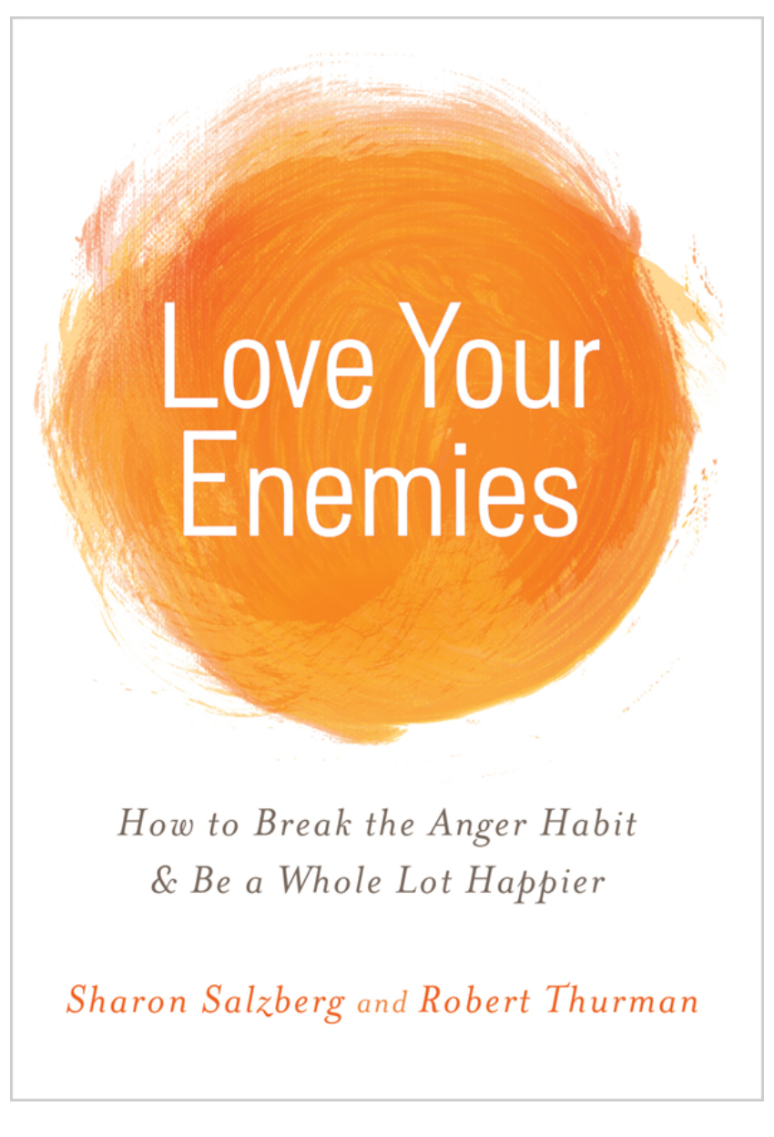(image for) Love Your Enemies by Thurman (Epub)